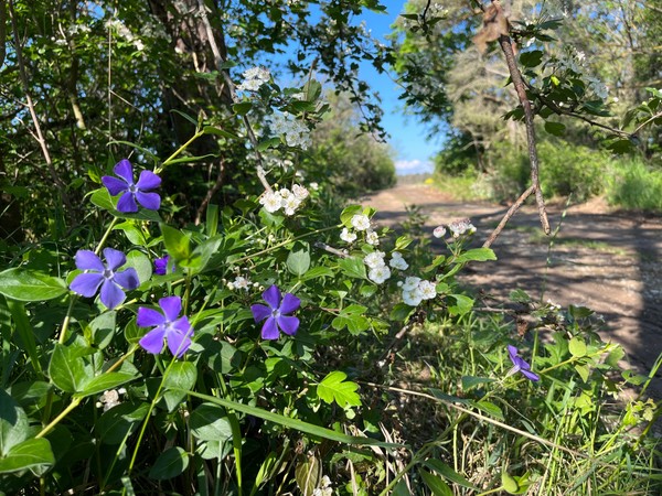 FeWo Steineck  bild 4